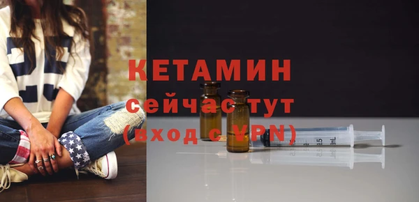 шишки Белокуриха