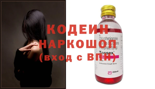 шишки Белокуриха