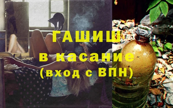 шишки Белокуриха
